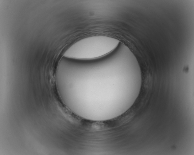 X0000115620420200911101100