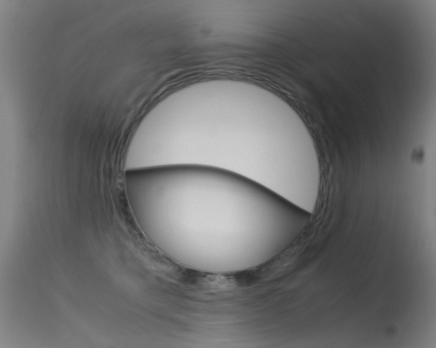 X0000115620421200911101100