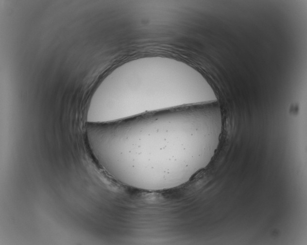 X0000115620424200911101100