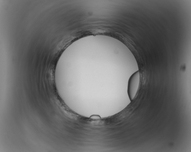 X0000115620426200911101100