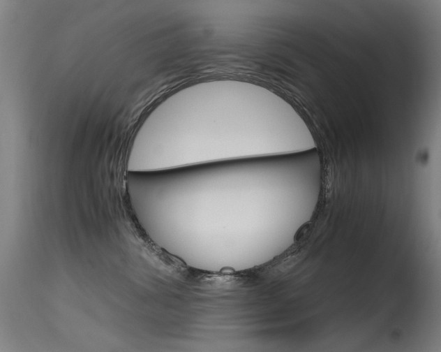 X0000115620428200911101100