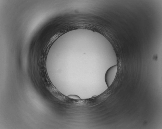 X0000115620430200911101100