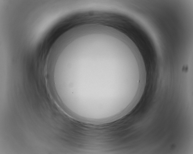 X0000115620431200911101100