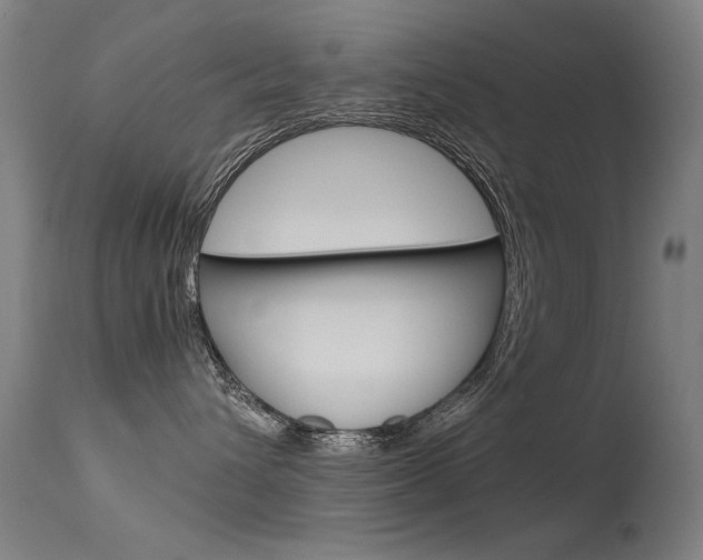 X0000115620432200911101100