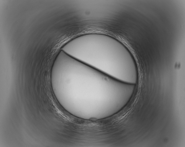 X0000115620433200911101059