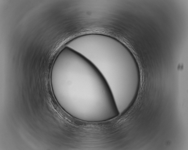 X0000115620434200911101059