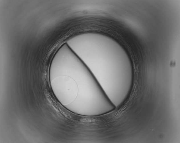 X0000115620435200911101059