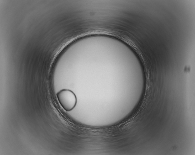 X0000115620436200911101059