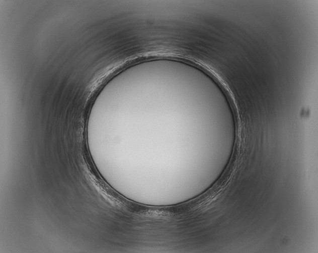 X0000115620437200911101059