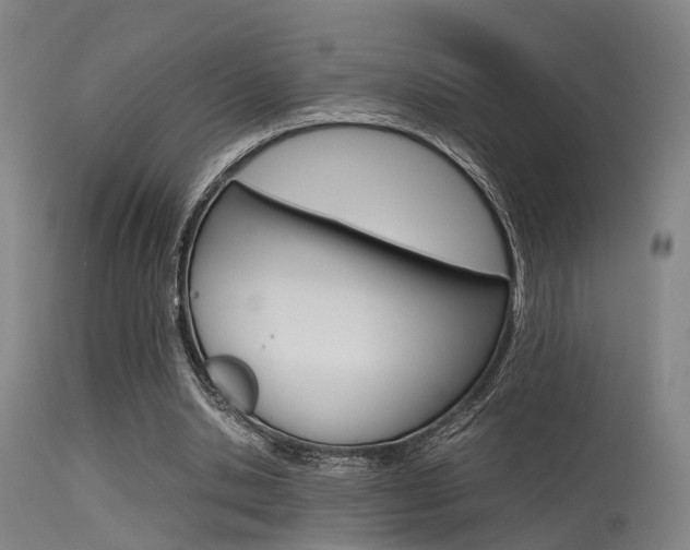 X0000115620438200911101059