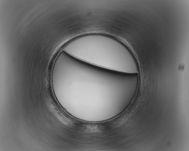 X0000115620439200911101059