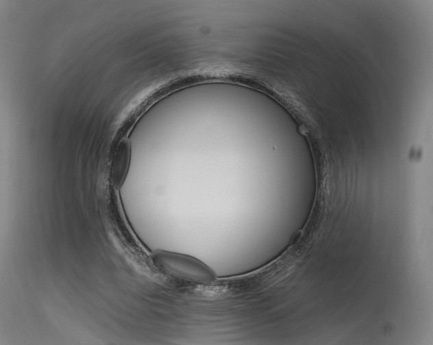 X0000115620440200911101059