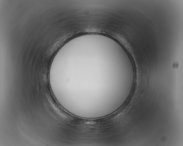 X0000115620441200911101059