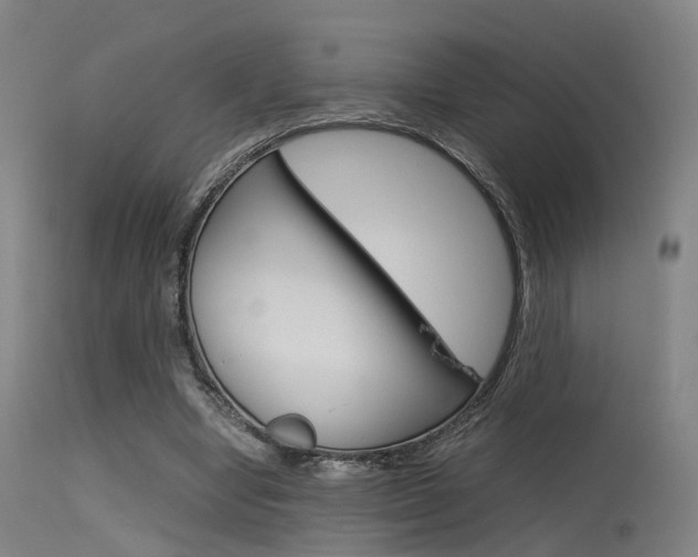 X0000115620442200911101059