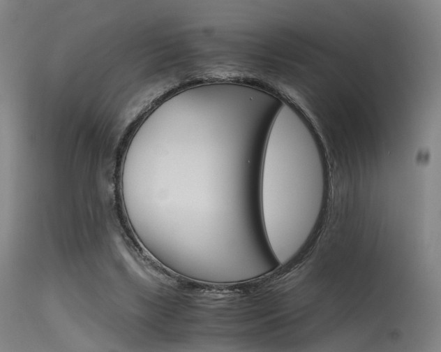 X0000115620443200911101059