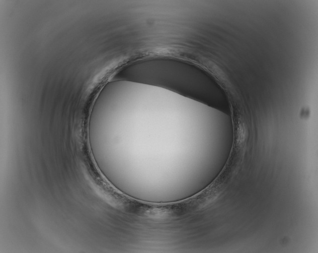 X0000115620444200911101059