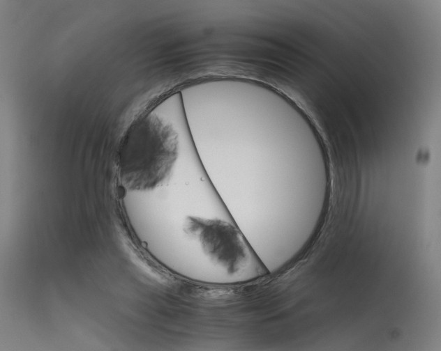 X0000115620445200911101100