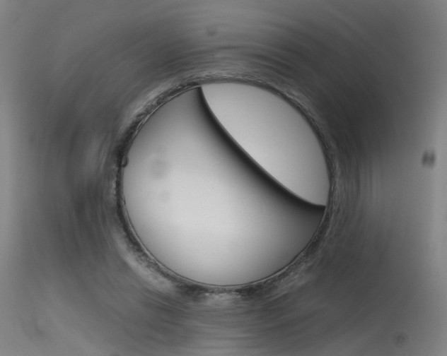 X0000115620446200911101100