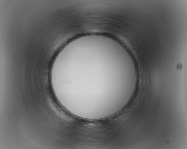 X0000115620447200911101100