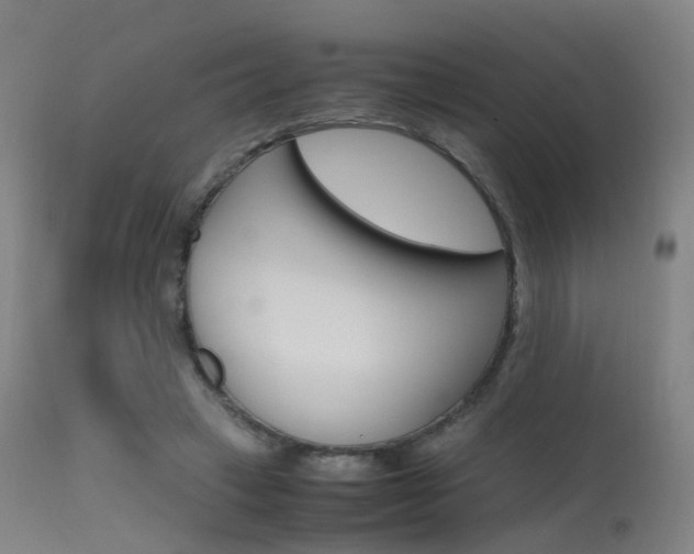 X0000115620449200911101100