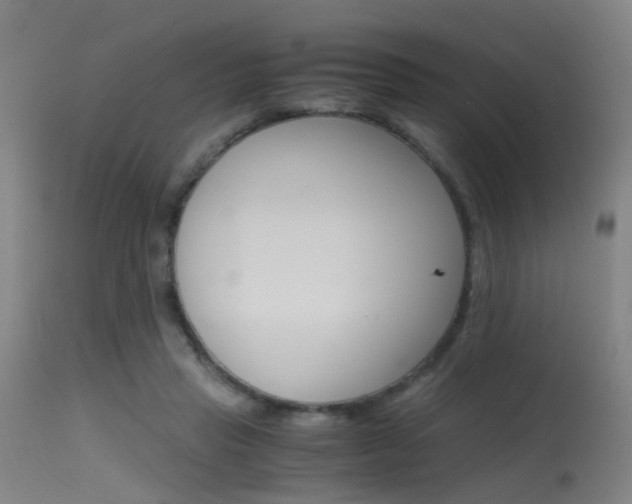 X0000115620453200911101100