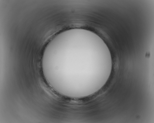 X0000115620455200911101100