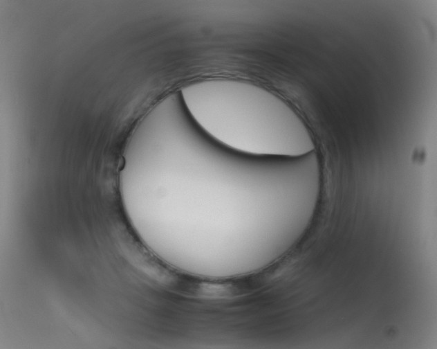 X0000115620457200911101100