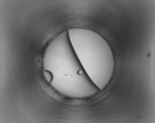 X0000115620458200911101100