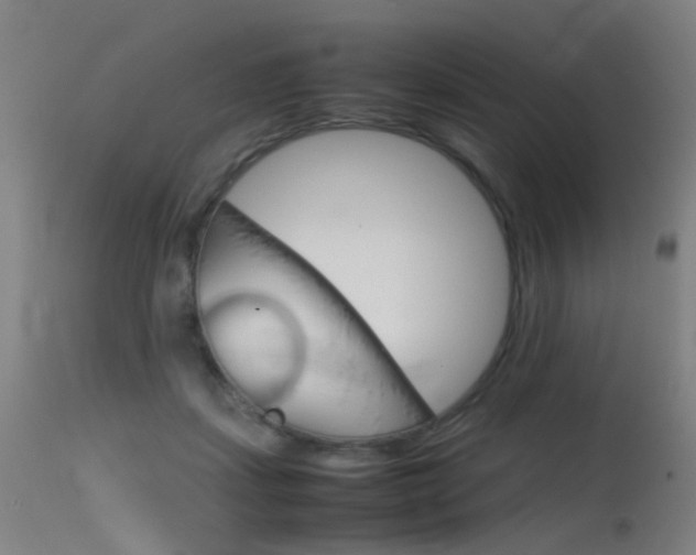 X0000115620459200911101100