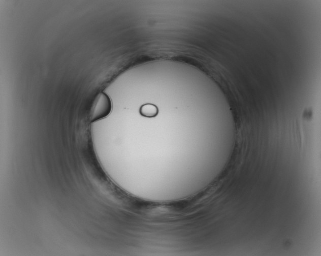 X0000115620460200911101100