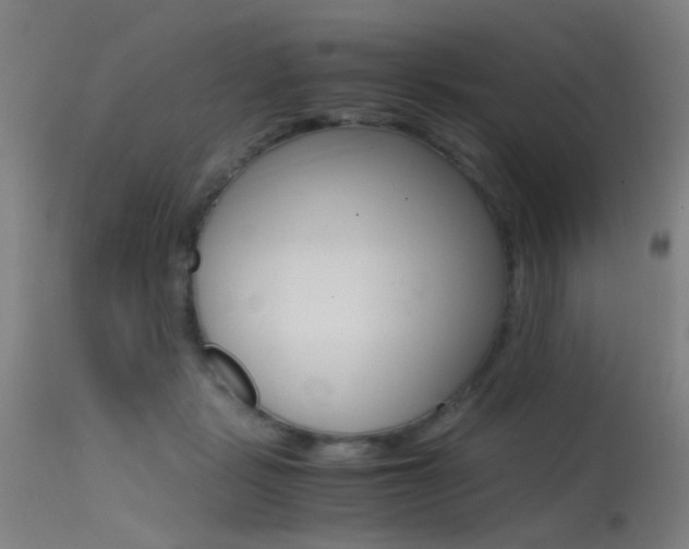 X0000115620461200911101100