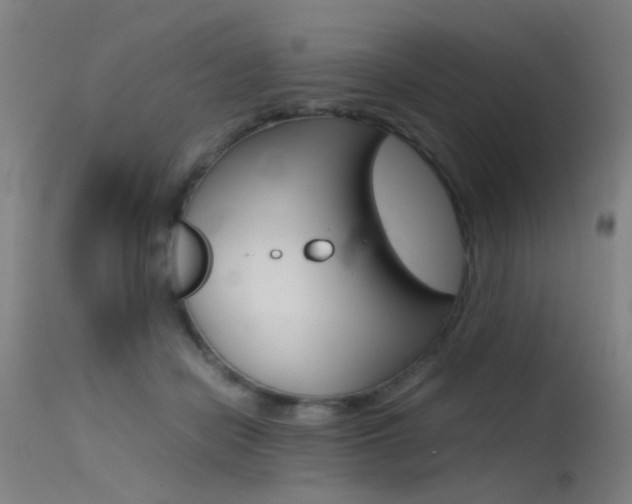 X0000115620462200911101100