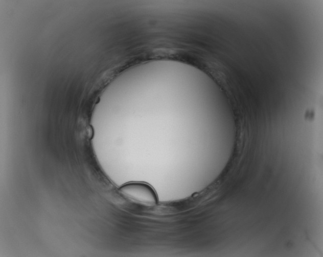 X0000115620463200911101100