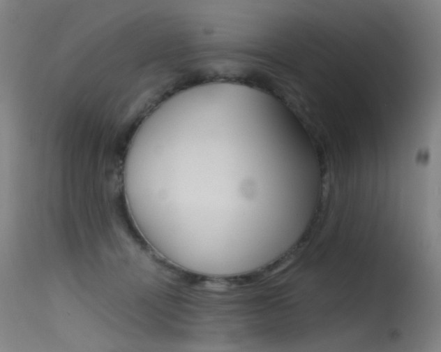 X0000115620464200911101100