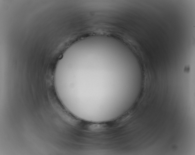 X0000115620465200911101100