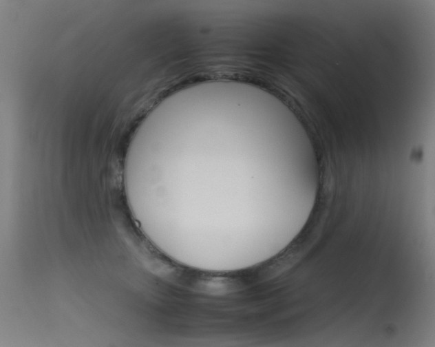 X0000115620467200911101100