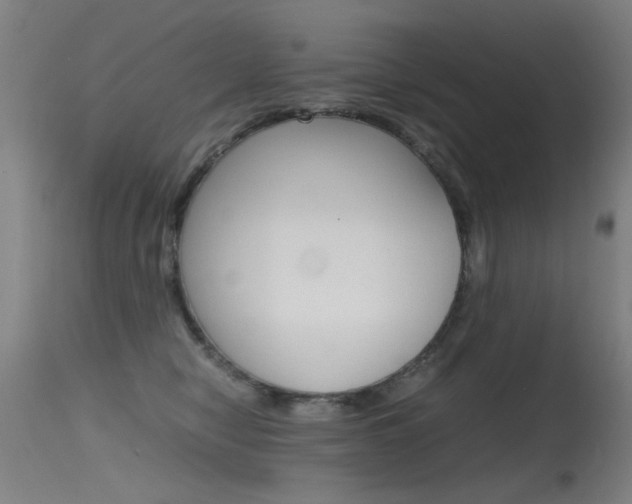 X0000115620470200911101100