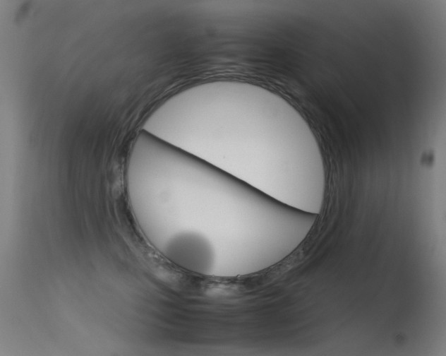 X0000115620471200911101100