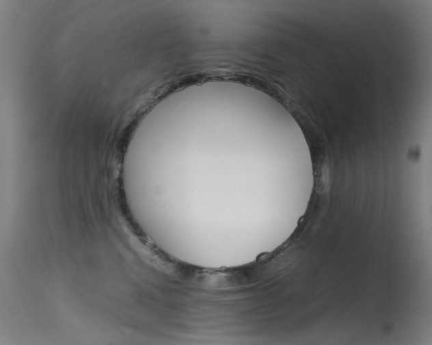 X0000115620472200911101100