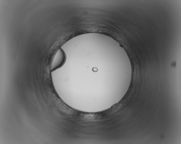 X0000115620473200911101100