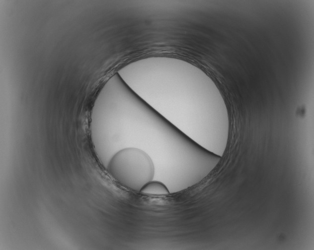 X0000115620475200911101100