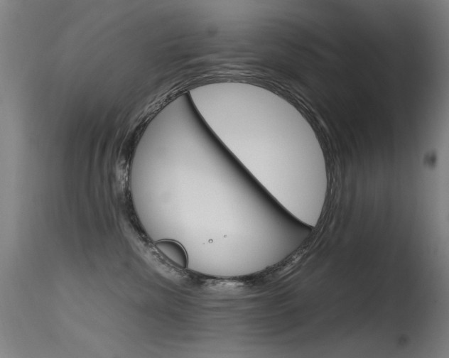 X0000115620476200911101100