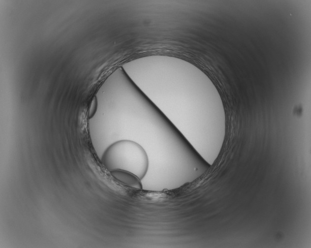 X0000115620478200911101100