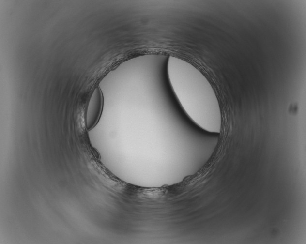 X0000115620479200911101100