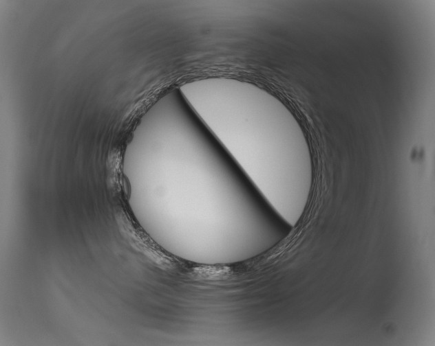 X0000115620480200911101100