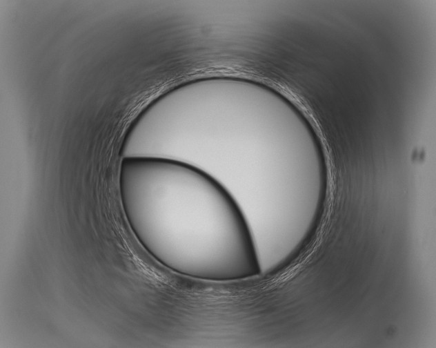 X0000115620481200911101059