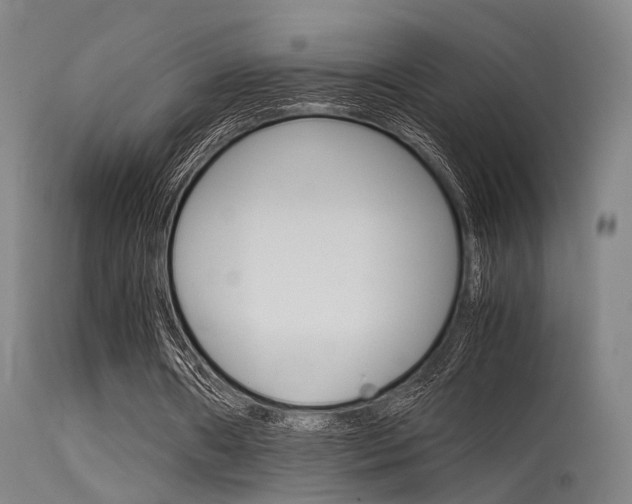 X0000115620482200911101059