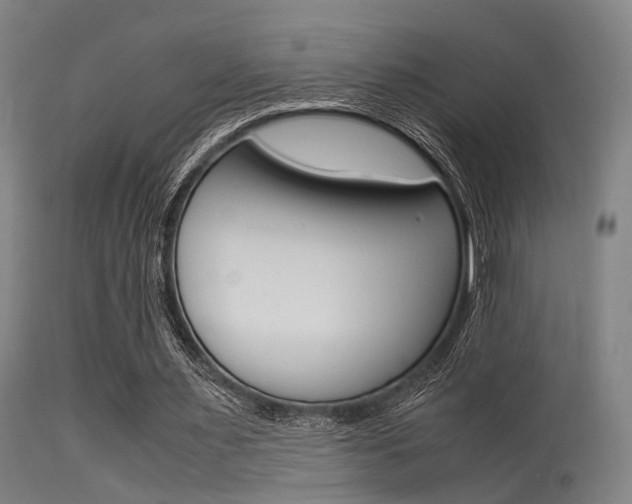 X0000115620483200911101059