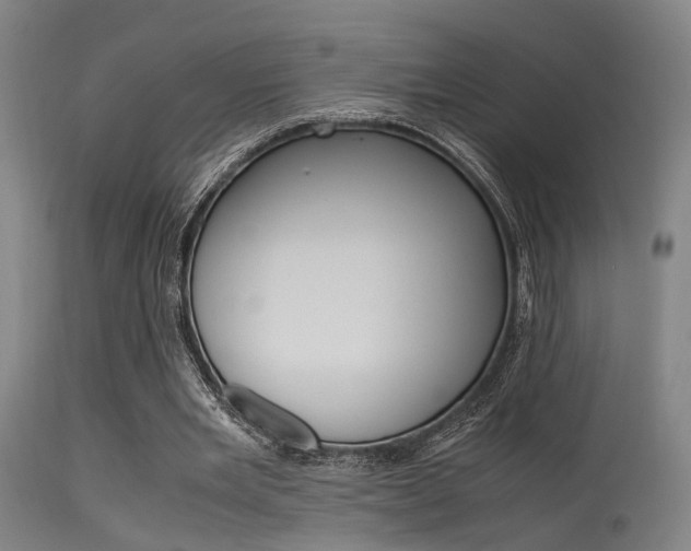 X0000115620485200911101059