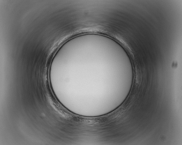 X0000115620486200911101059